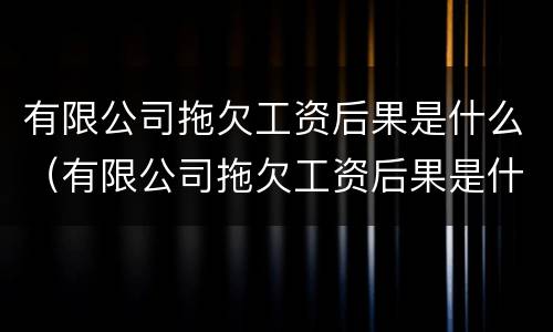 有限公司拖欠工资后果是什么（有限公司拖欠工资后果是什么样的）