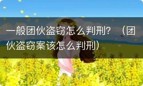 一般团伙盗窃怎么判刑？（团伙盗窃案该怎么判刑）