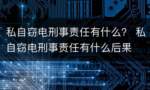 私自窃电刑事责任有什么？ 私自窃电刑事责任有什么后果