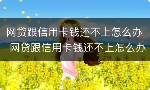 网贷跟信用卡钱还不上怎么办 网贷跟信用卡钱还不上怎么办呢