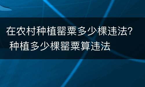 在农村种植罂粟多少棵违法？ 种植多少棵罂粟算违法