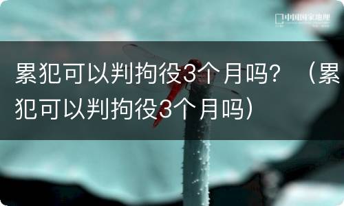 累犯可以判拘役3个月吗？（累犯可以判拘役3个月吗）