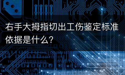 右手大拇指切出工伤鉴定标准依据是什么?