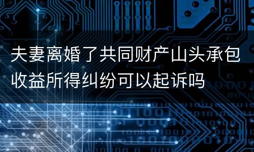夫妻离婚了共同财产山头承包收益所得纠纷可以起诉吗