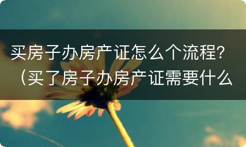 买房子办房产证怎么个流程？（买了房子办房产证需要什么手续）