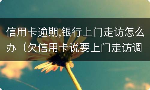 信用卡逾期,银行上门走访怎么办（欠信用卡说要上门走访调查）
