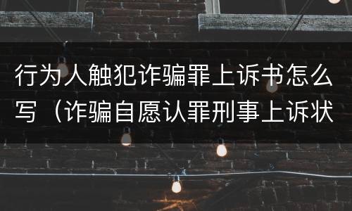 行为人触犯诈骗罪上诉书怎么写（诈骗自愿认罪刑事上诉状范文）