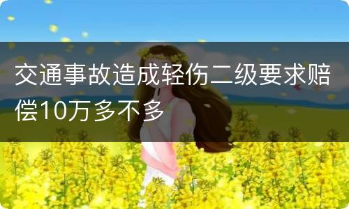 交通事故造成轻伤二级要求赔偿10万多不多