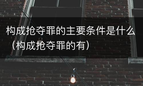 构成抢夺罪的主要条件是什么（构成抢夺罪的有）