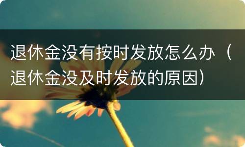 退休金没有按时发放怎么办（退休金没及时发放的原因）