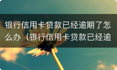 银行信用卡贷款已经逾期了怎么办（银行信用卡贷款已经逾期了怎么办理）