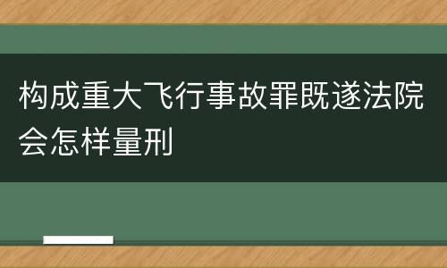 构成重大飞行事故罪既遂法院会怎样量刑