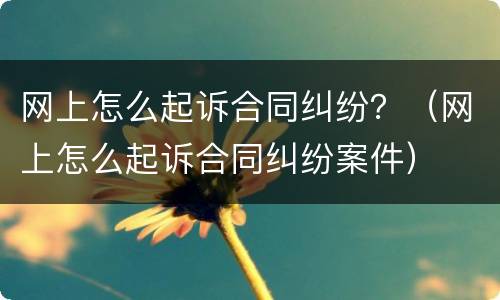 网上怎么起诉合同纠纷？（网上怎么起诉合同纠纷案件）