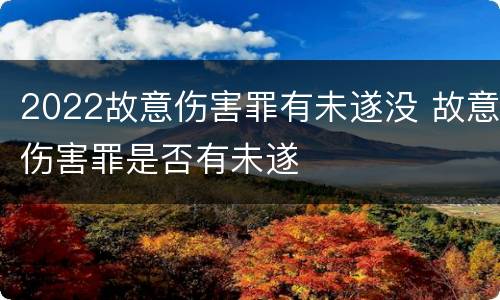 2022故意伤害罪有未遂没 故意伤害罪是否有未遂