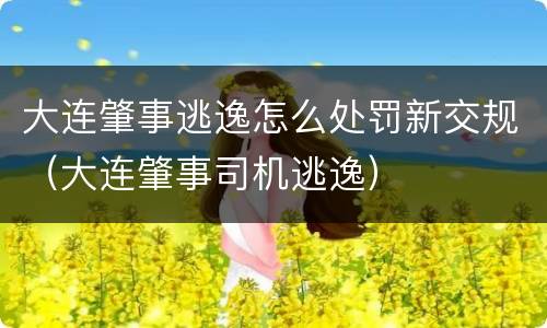 大连肇事逃逸怎么处罚新交规（大连肇事司机逃逸）