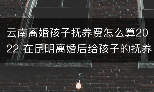 云南离婚孩子抚养费怎么算2022 在昆明离婚后给孩子的抚养费是多少