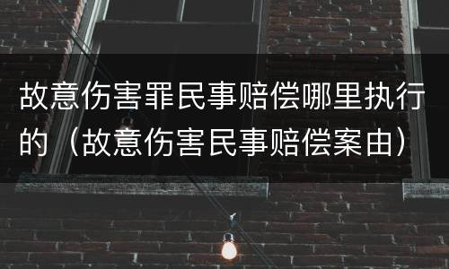 故意伤害罪民事赔偿哪里执行的（故意伤害民事赔偿案由）