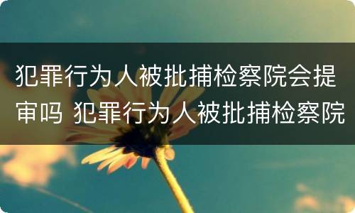 犯罪行为人被批捕检察院会提审吗 犯罪行为人被批捕检察院会提审吗