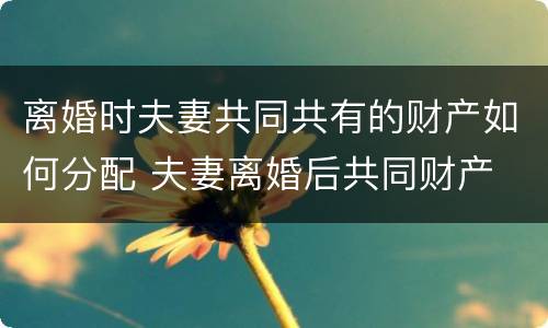 离婚时夫妻共同共有的财产如何分配 夫妻离婚后共同财产