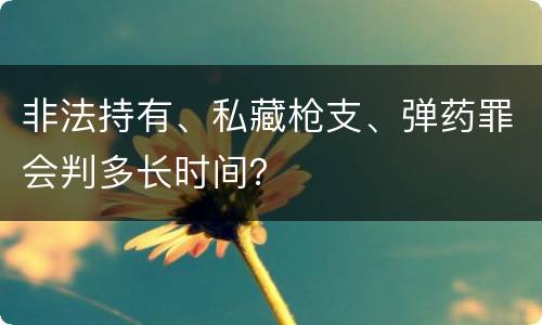 非法持有、私藏枪支、弹药罪会判多长时间？
