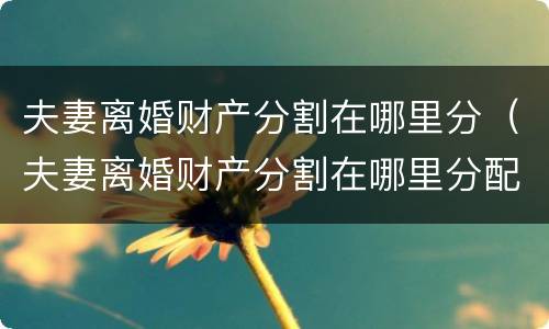 夫妻离婚财产分割在哪里分（夫妻离婚财产分割在哪里分配）