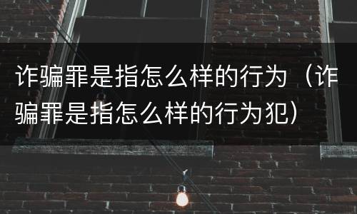诈骗罪是指怎么样的行为（诈骗罪是指怎么样的行为犯）