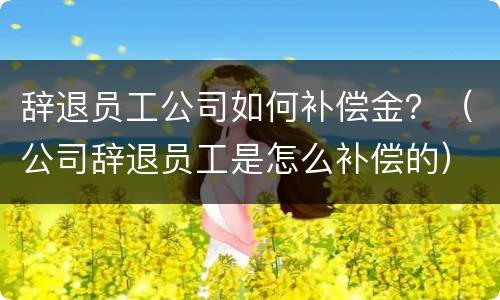 辞退员工公司如何补偿金？（公司辞退员工是怎么补偿的）