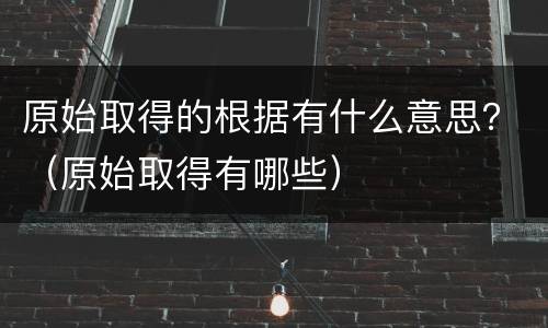 原始取得的根据有什么意思？（原始取得有哪些）