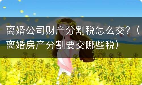 离婚公司财产分割税怎么交?（离婚房产分割要交哪些税）