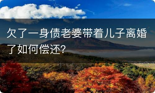 欠了一身债老婆带着儿子离婚了如何偿还？