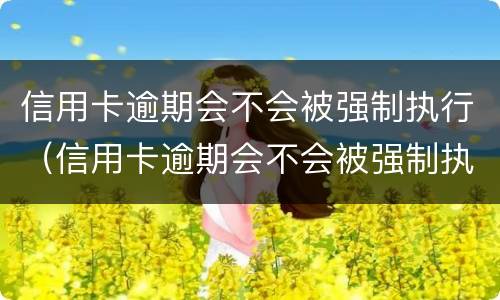 信用卡逾期会不会被强制执行（信用卡逾期会不会被强制执行配偶名下的车）