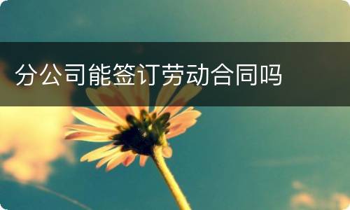 分公司能签订劳动合同吗