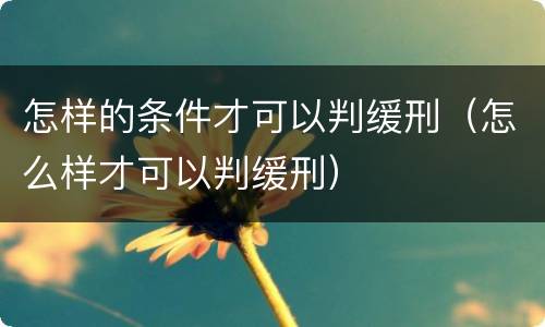怎样的条件才可以判缓刑（怎么样才可以判缓刑）