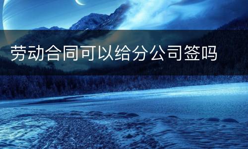 劳动合同可以给分公司签吗