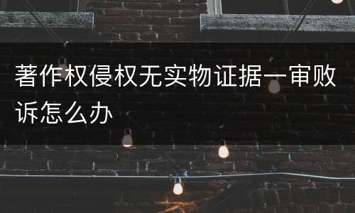 著作权侵权无实物证据一审败诉怎么办