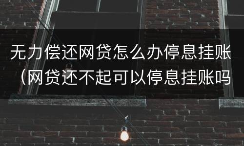 无力偿还网贷怎么办停息挂账（网贷还不起可以停息挂账吗）