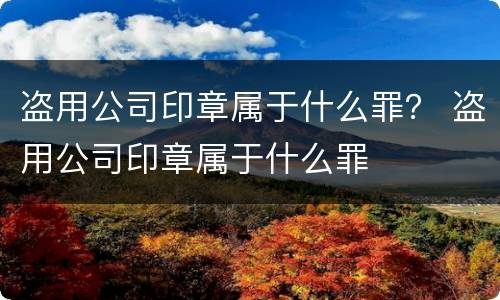 盗用公司印章属于什么罪？ 盗用公司印章属于什么罪
