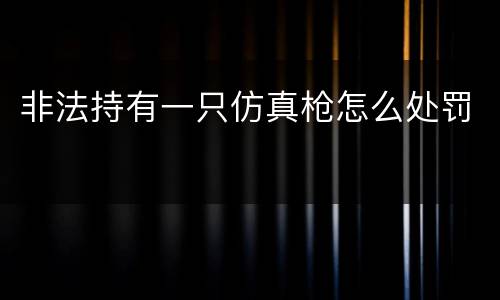 非法持有一只仿真枪怎么处罚