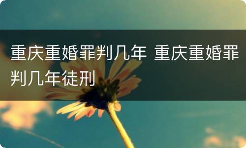 重庆重婚罪判几年 重庆重婚罪判几年徒刑