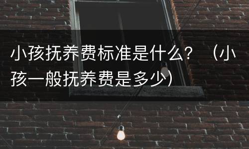 小孩抚养费标准是什么？（小孩一般抚养费是多少）