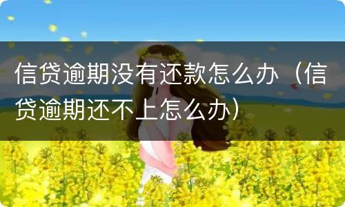 信贷逾期没有还款怎么办（信贷逾期还不上怎么办）