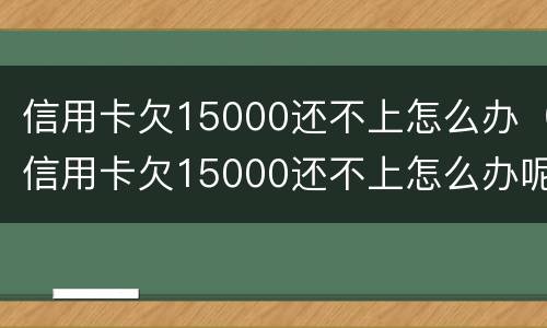 信用卡欠15000还不上怎么办（信用卡欠15000还不上怎么办呢）