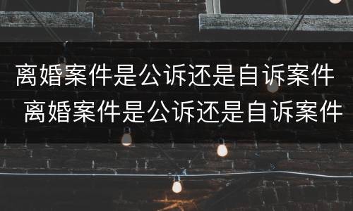 离婚案件是公诉还是自诉案件 离婚案件是公诉还是自诉案件呢