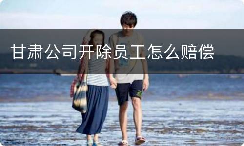 甘肃公司开除员工怎么赔偿