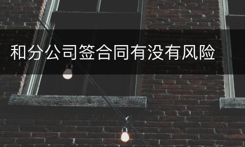 和分公司签合同有没有风险