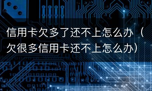 信用卡欠多了还不上怎么办（欠很多信用卡还不上怎么办）