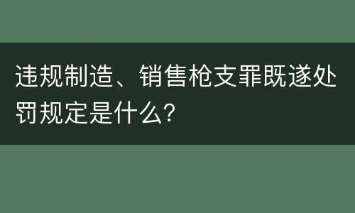 违规制造、销售枪支罪既遂处罚规定是什么？