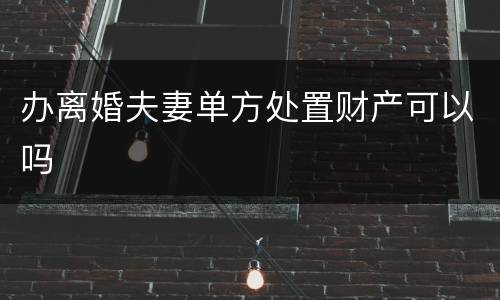办离婚夫妻单方处置财产可以吗