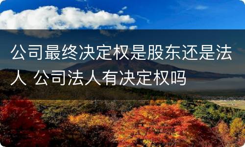 公司最终决定权是股东还是法人 公司法人有决定权吗