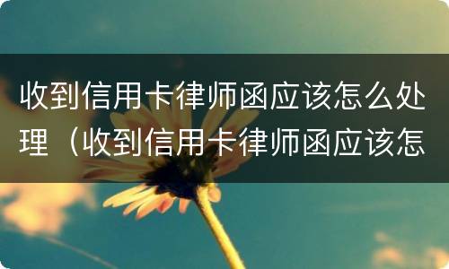 收到信用卡律师函应该怎么处理（收到信用卡律师函应该怎么处理问题）